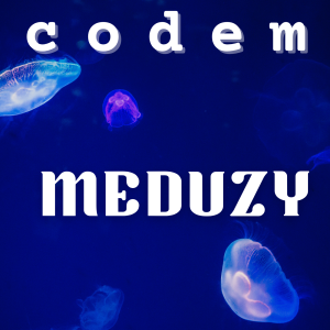 Meduzy