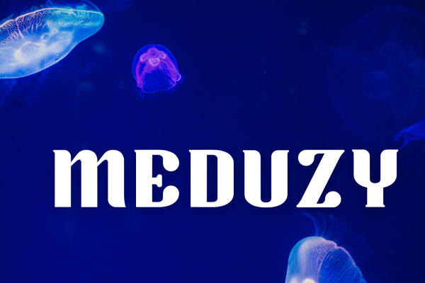 Singiel Meduzy jest już dostępny